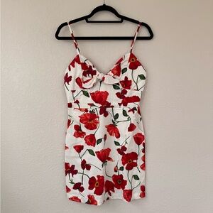 Chic fitted poppy summer dress